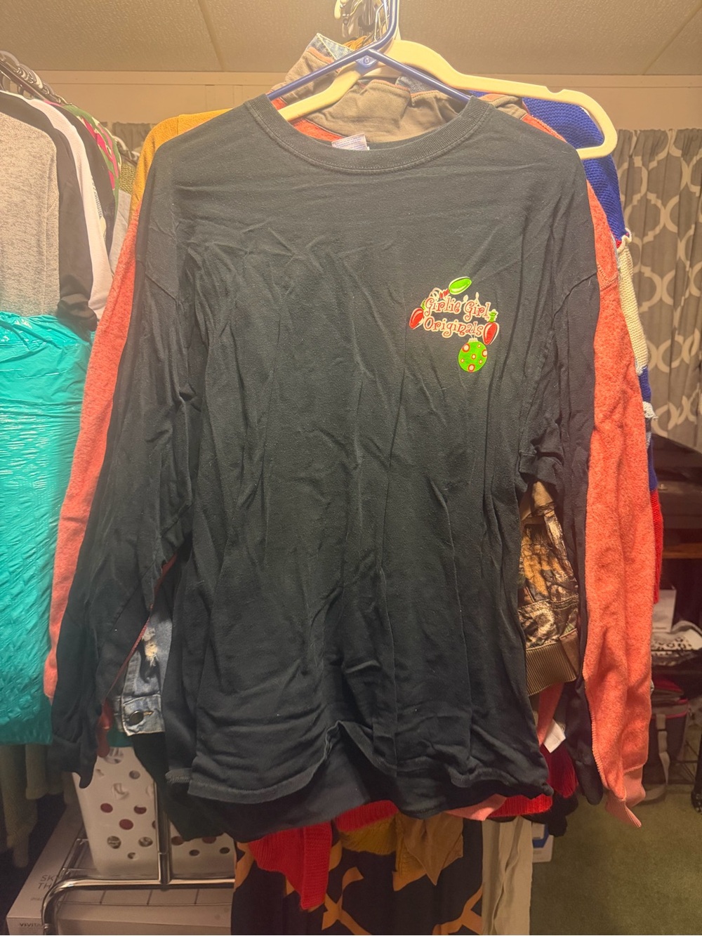 Gildan Black Long-Sleeve Tee with Colorful Apple Graphic